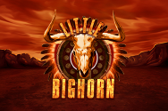 Microgaming slot