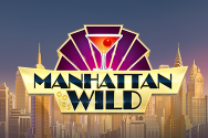 Microgaming slot