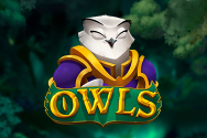 Microgaming slot